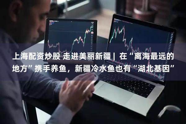 上海配资炒股 走进美丽新疆 |  在“离海最远的地方”携手养鱼，新疆冷水鱼也有“湖北基因”