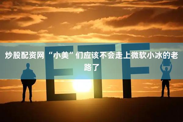 炒股配资网 “小美”们应该不会走上微软小冰的老路了
