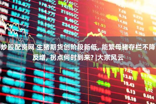 炒股配资网 生猪期货创阶段新低, 能繁母猪存栏不降反增, 拐点何时到来? |大宗风云