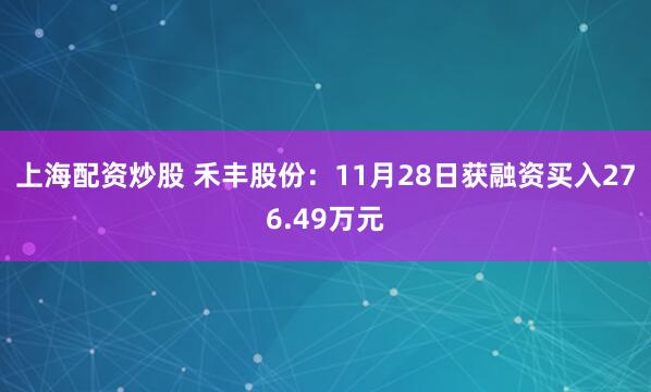 上海配资炒股 禾丰股份：11月28日获融资买入276.49万元